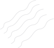 5 transparent wave lines for background