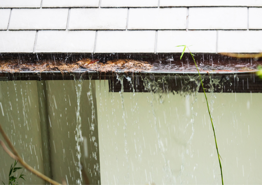 clogged roof gutter